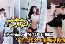 【网爆门事件】上海极品女神骚母狗何珊珊与富二代金主啪啪视频流出